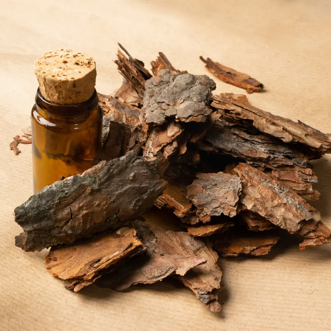 Etherische-olie-voor-je-haar-berkenschors