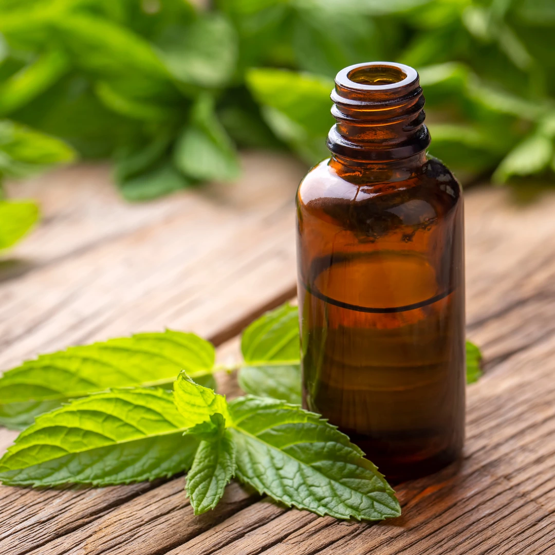 Etherische-olie-voor-je-haar-munt