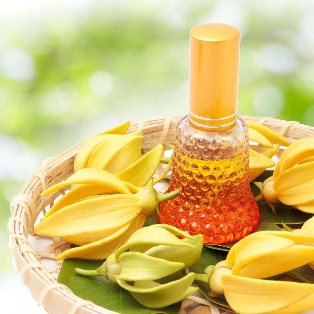 Etherische-olie-voor-je-haar-ylang-ylang