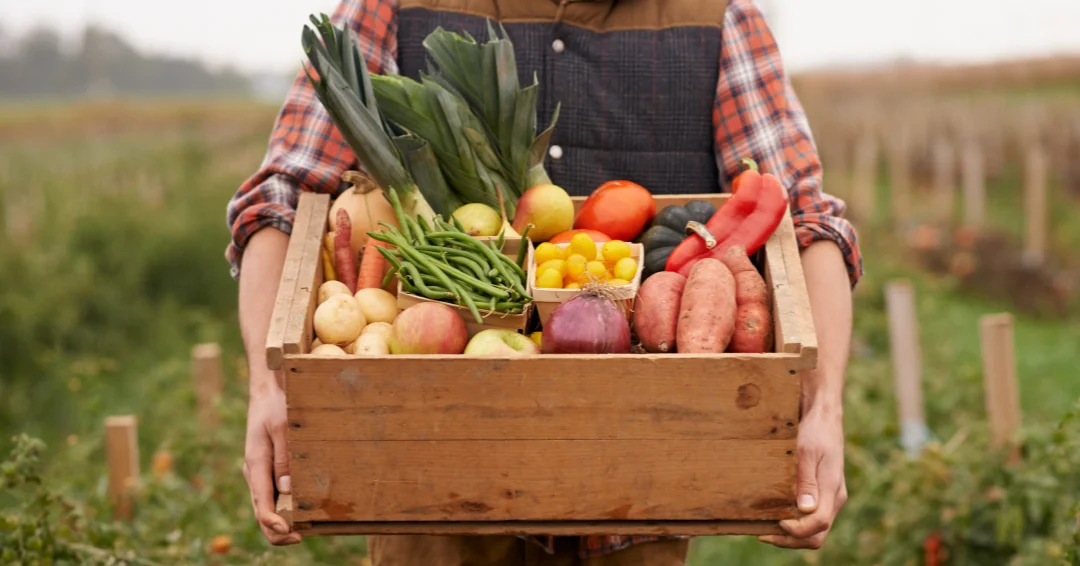Ontdek natuurlijke oplossingen tegen haaruitval bij mannen. Leer welke behandelingen en voedingsstoffen je haar helpen versterken en haaruitval verminderen.