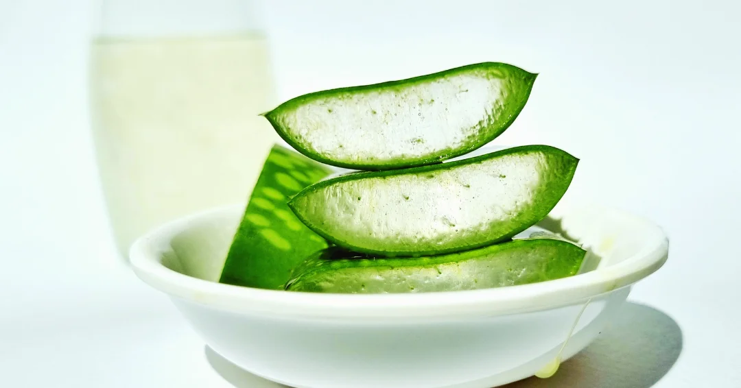 aloe-vera