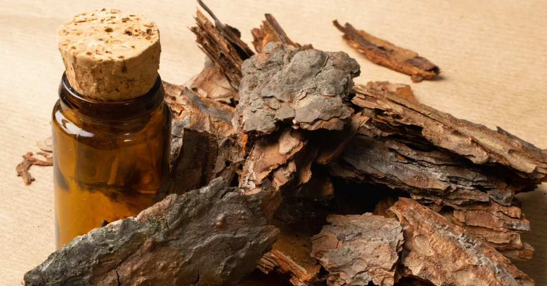 Berkenschorsolie voor je haar biedt natuurlijke versterking, hydratatie en bescherming. Ontdek de voordelen, gebruikstips en resultaten van deze krachtige olie.