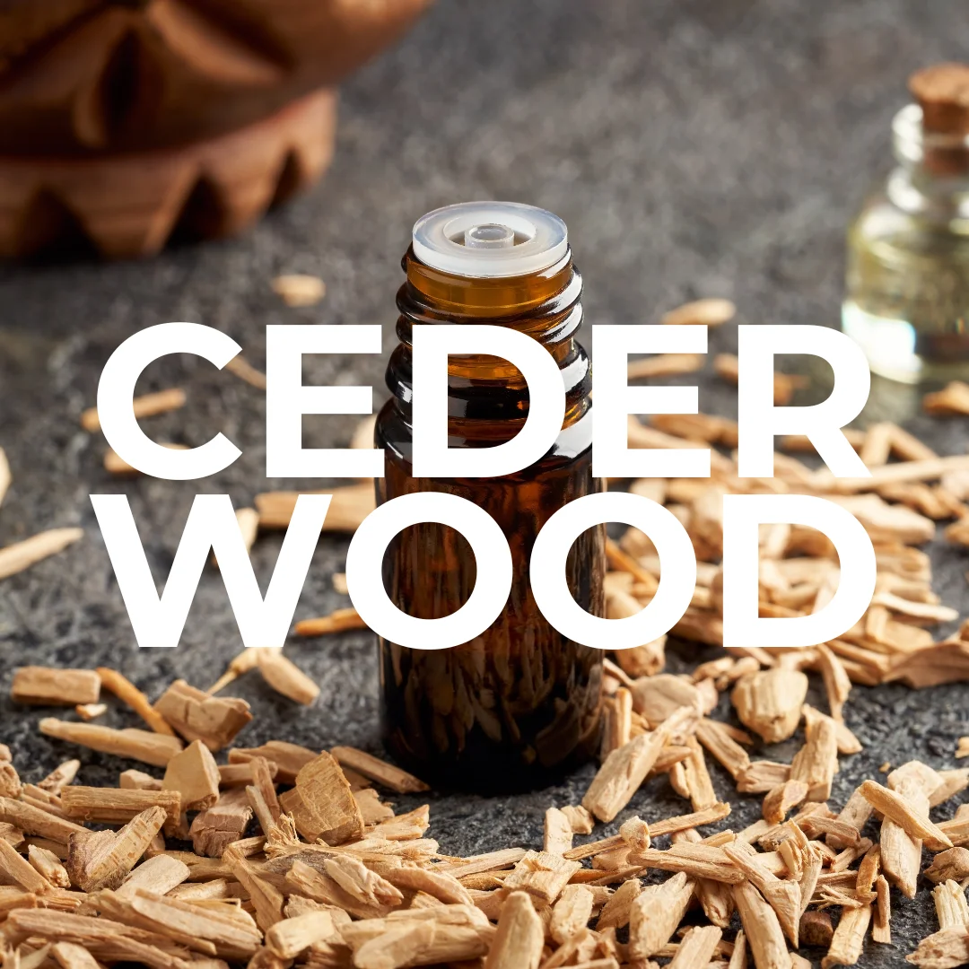 etherische-olie-cederwood