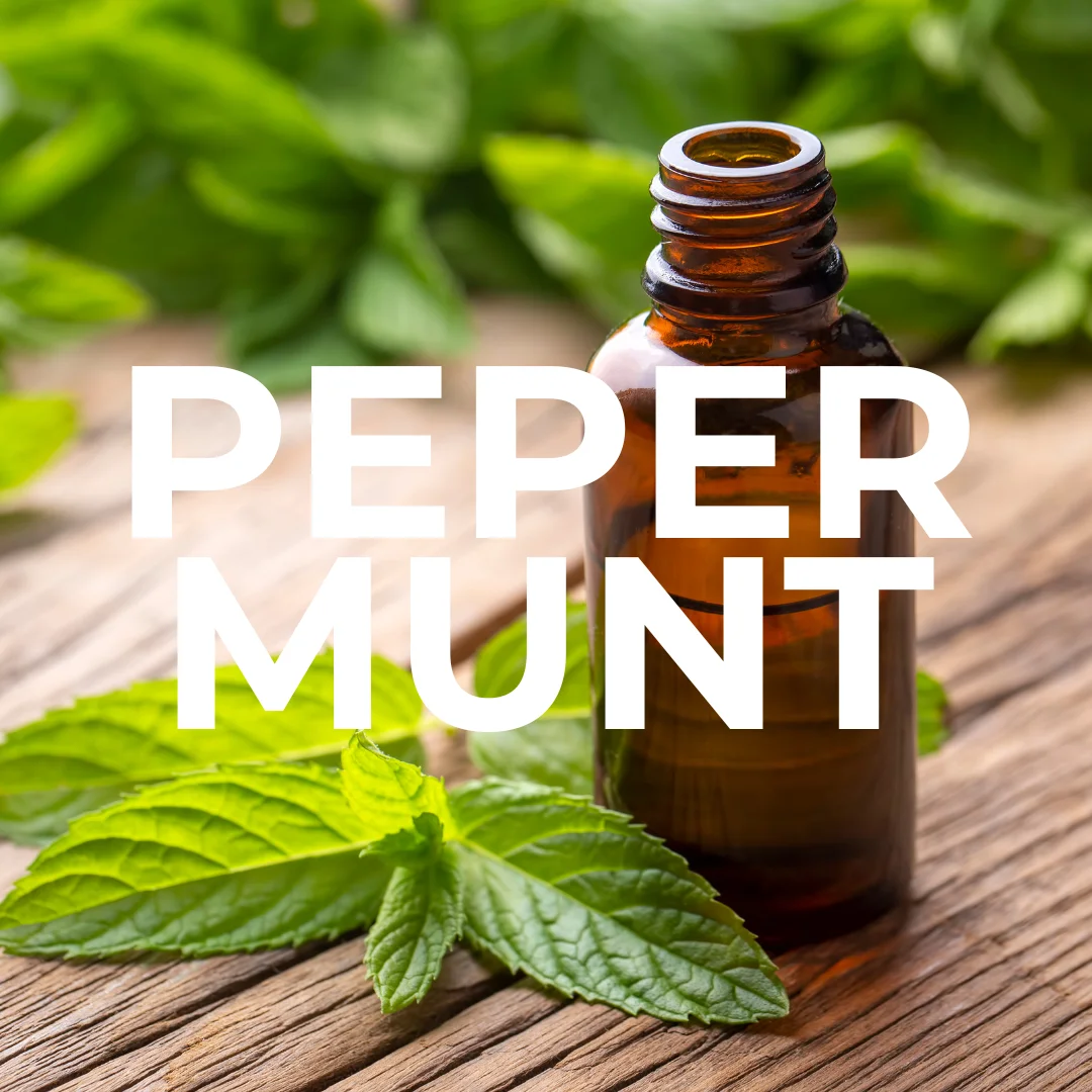 etherische-olie-pepermunt