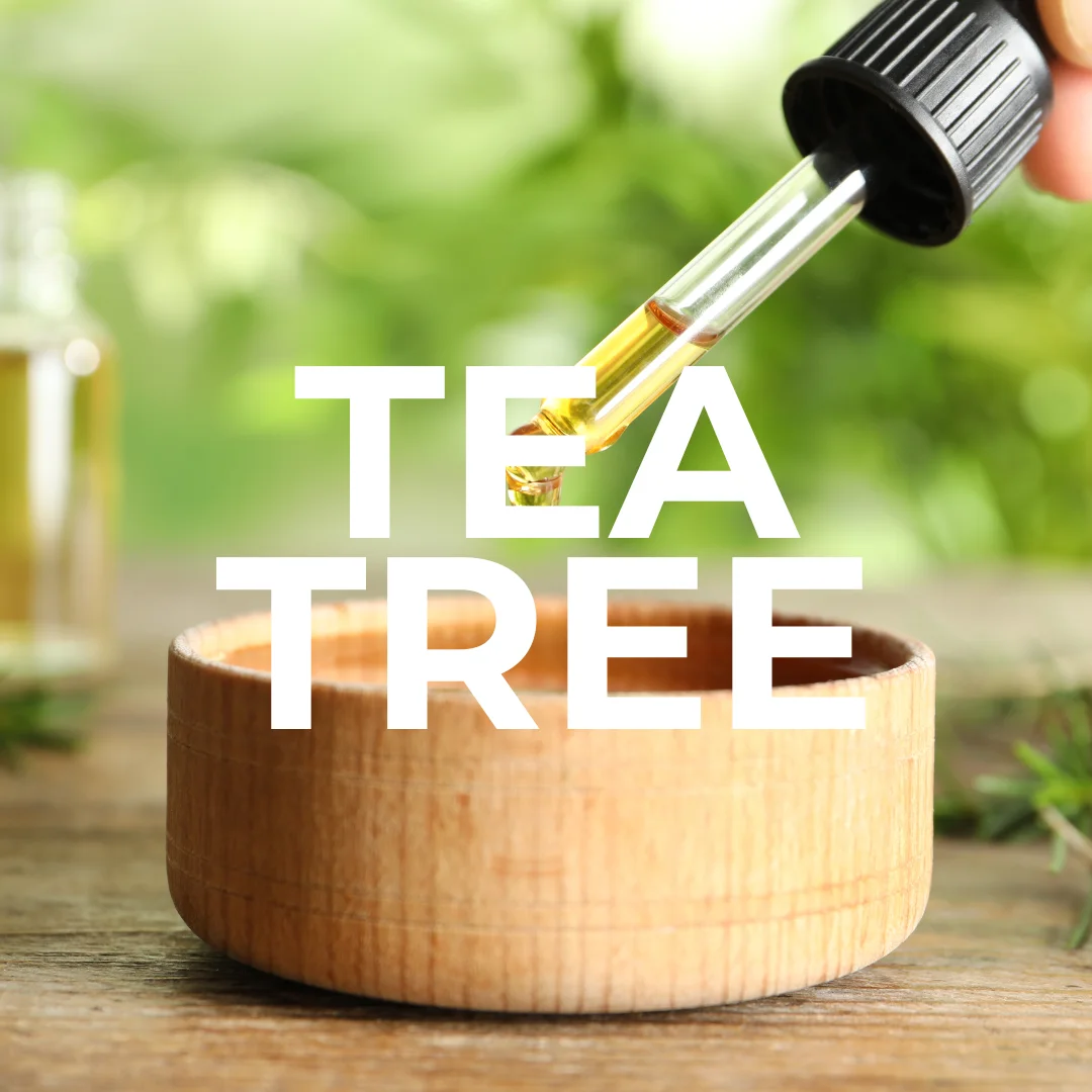 etherische-olie-tea-tree