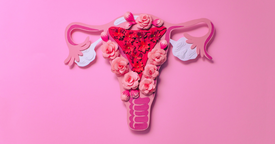 haargroei-en-hormonen-progesteron