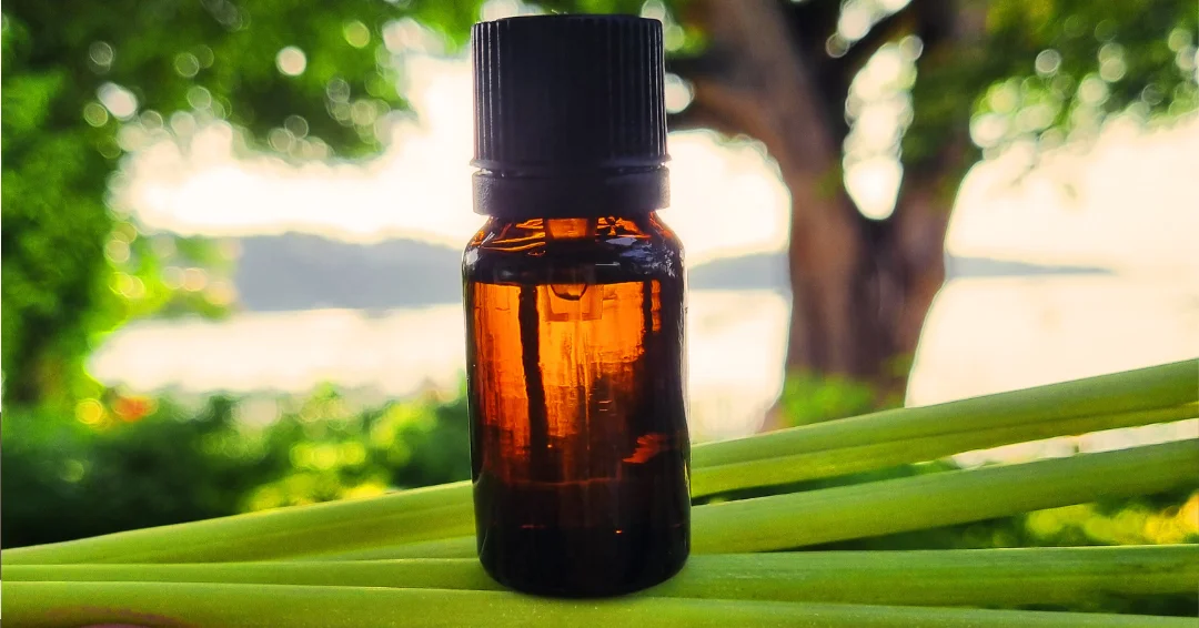 haargroei-olie-rozemarijn