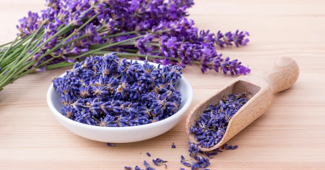lavendelolie-voor-je-haar-2