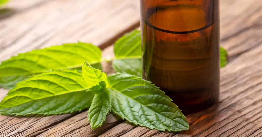 Pepermuntolie voor je haar biedt haargroei, verkoeling en versterking. Ontdek de voordelen, tips voor gebruik en hoe je het optimaal toepast.