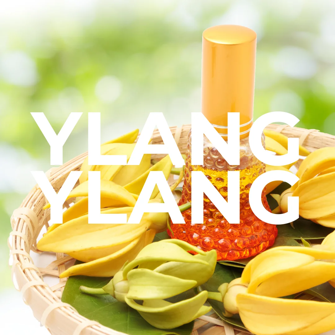 ylang-ylang-olie-voor-je-haar-klein