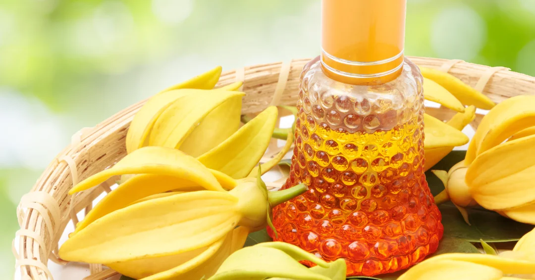 Ontdek de voordelen van Ylang Ylang olie voor je haar! Stimuleer haargroei, verzorg de hoofdhuid en breng glans en zachtheid in je haar.